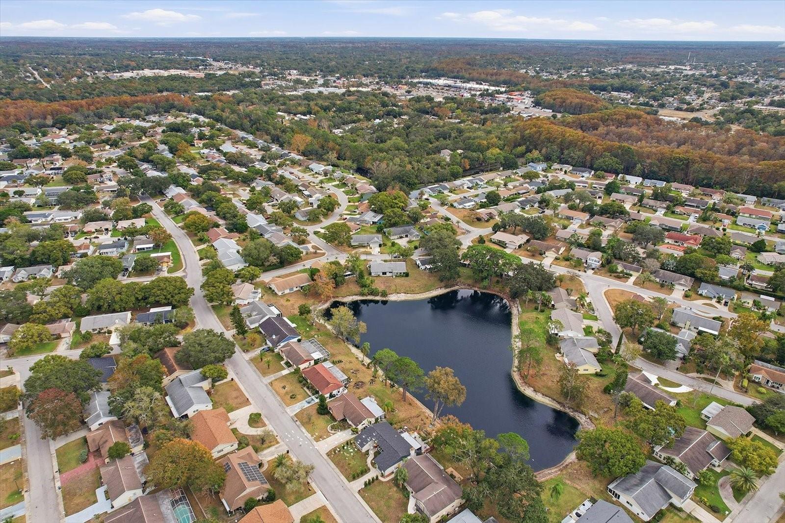 Image 44 of 46 For 12303 Fieldstone Lane