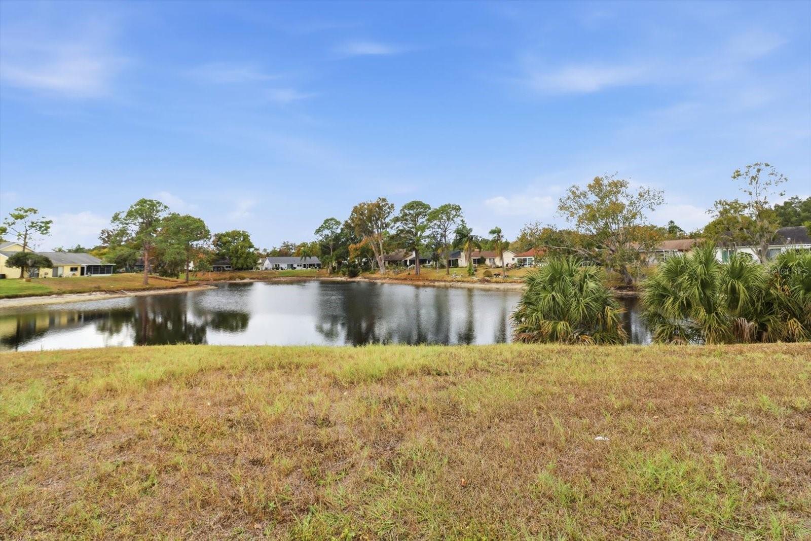 Image 46 of 46 For 12303 Fieldstone Lane