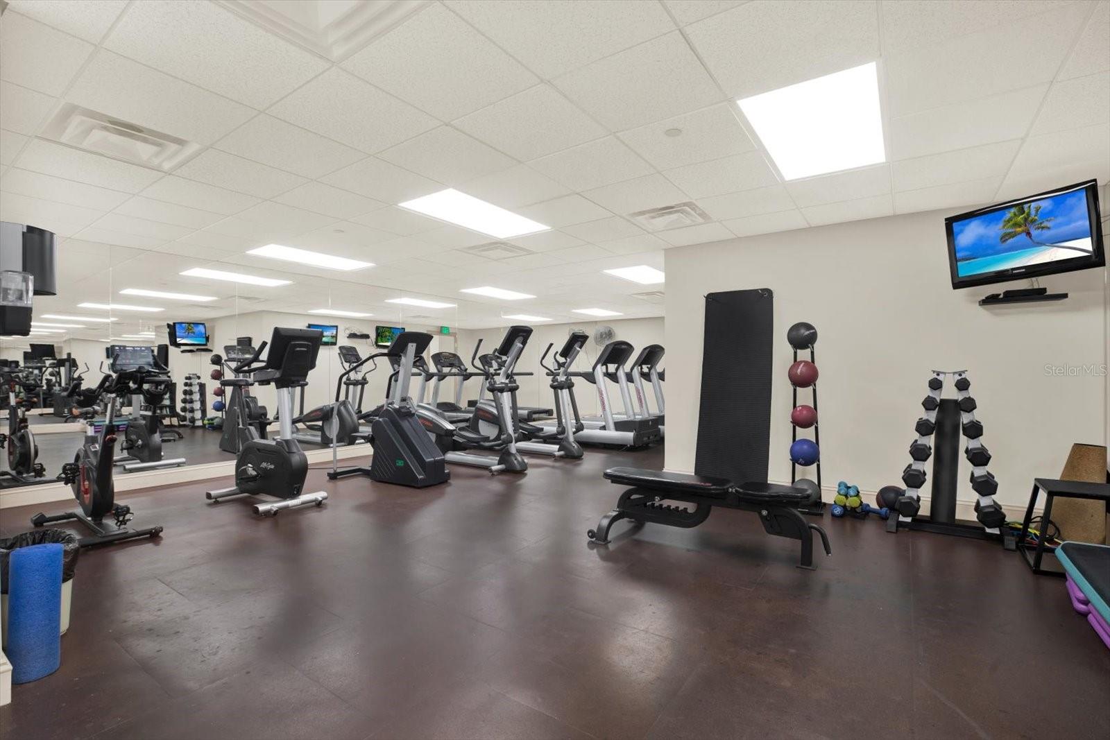 Image 23 of 36 For 345 Bayshore Boulevard 310