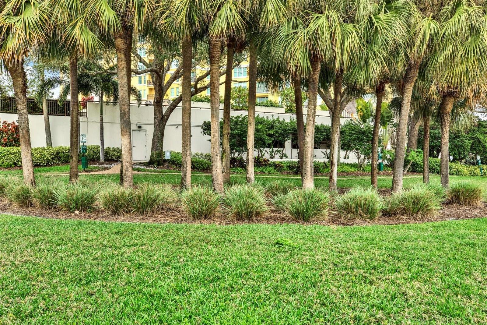 Image 28 of 36 For 345 Bayshore Boulevard 310