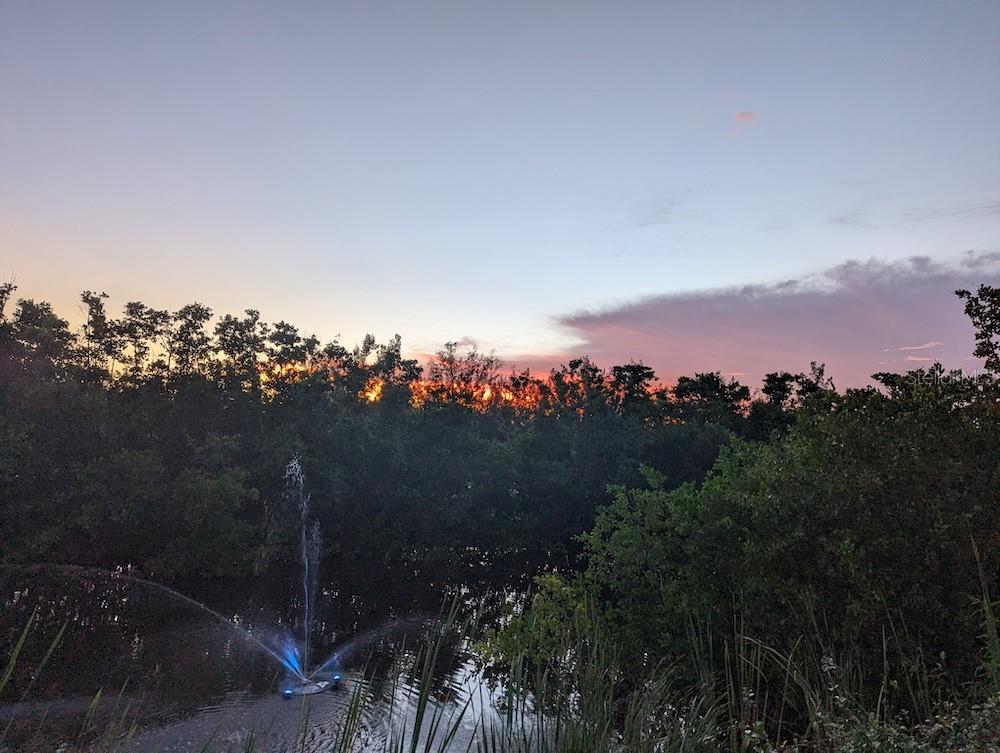 Image 52 of 77 For 14399 Tamarac Drive