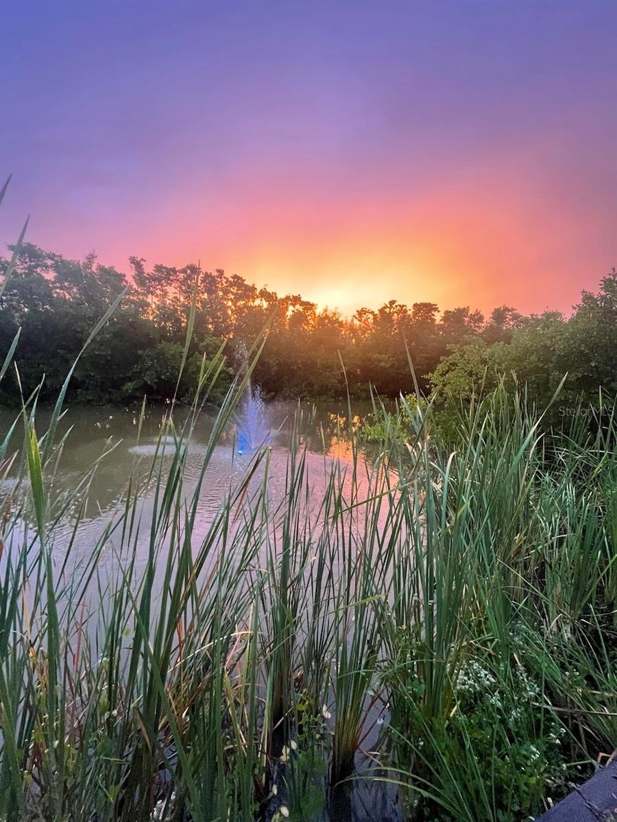 Image 55 of 77 For 14399 Tamarac Drive