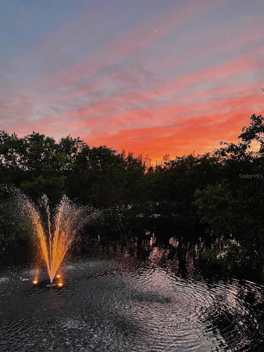 Image 56 of 77 For 14399 Tamarac Drive