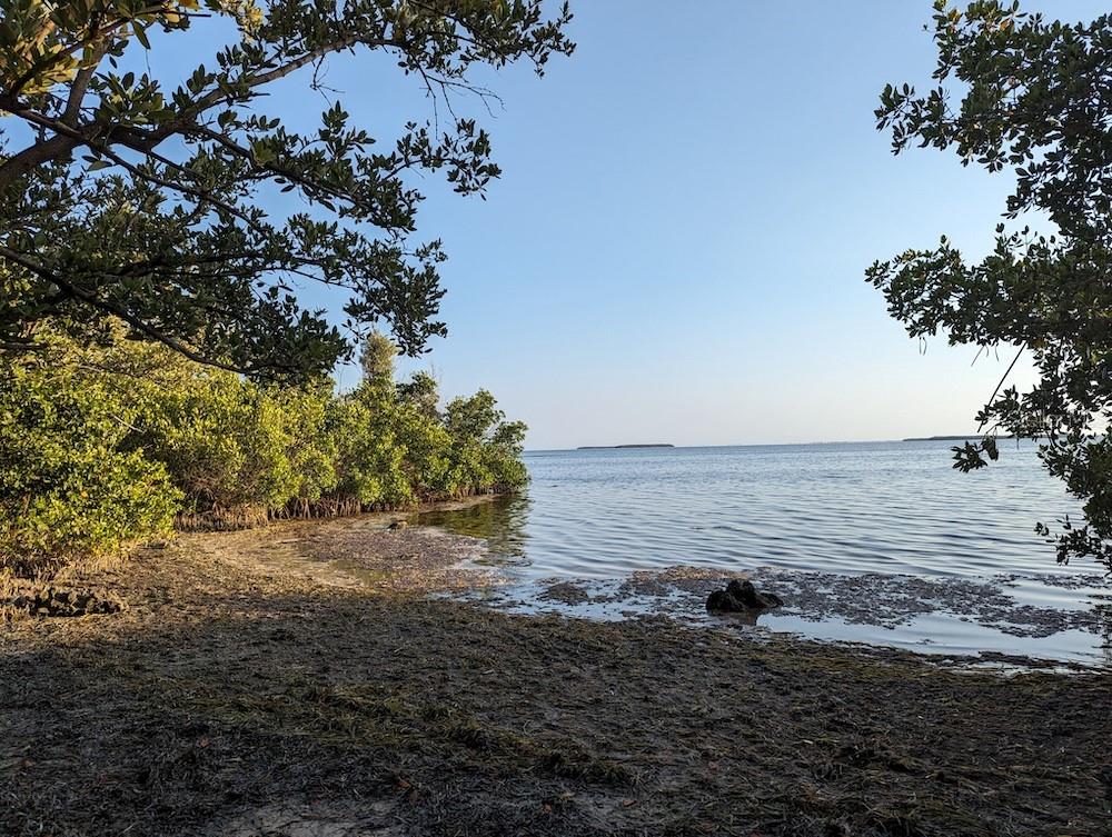 Image 66 of 77 For 14399 Tamarac Drive