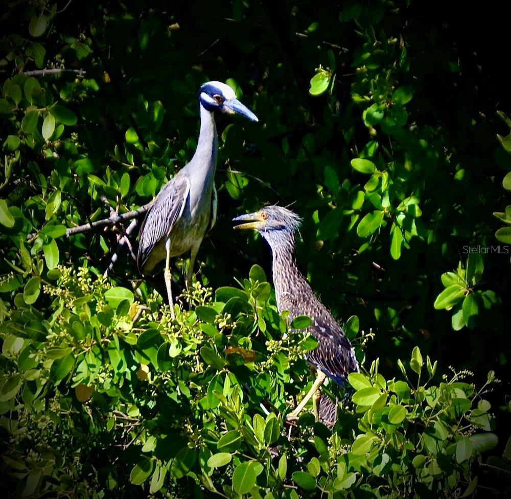 Image 69 of 77 For 14399 Tamarac Drive