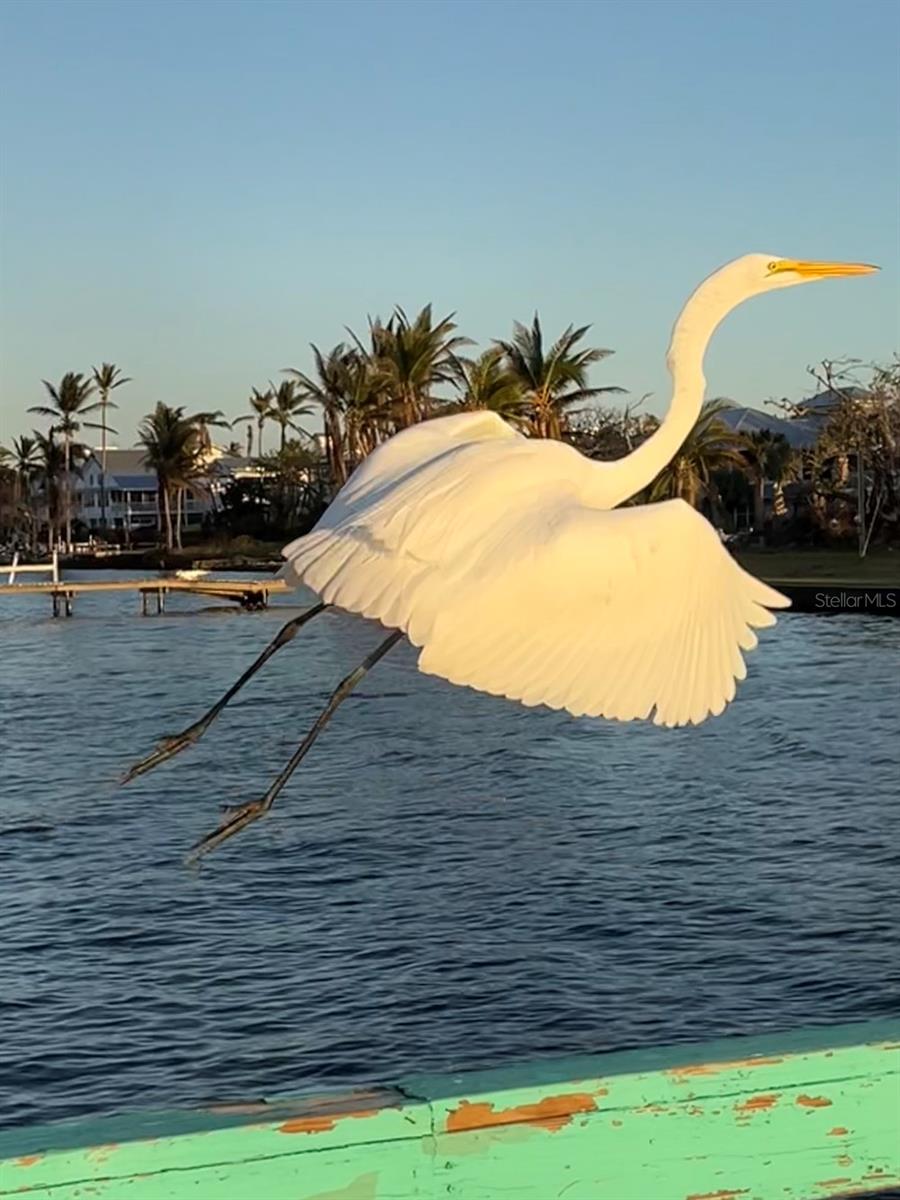 Image 70 of 77 For 14399 Tamarac Drive