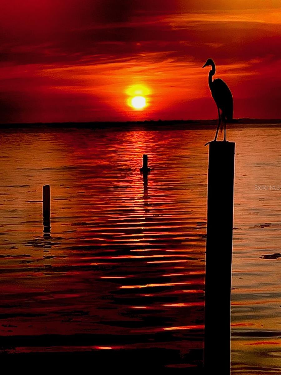 Image 73 of 77 For 14399 Tamarac Drive