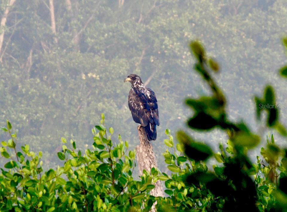 Image 74 of 77 For 14399 Tamarac Drive