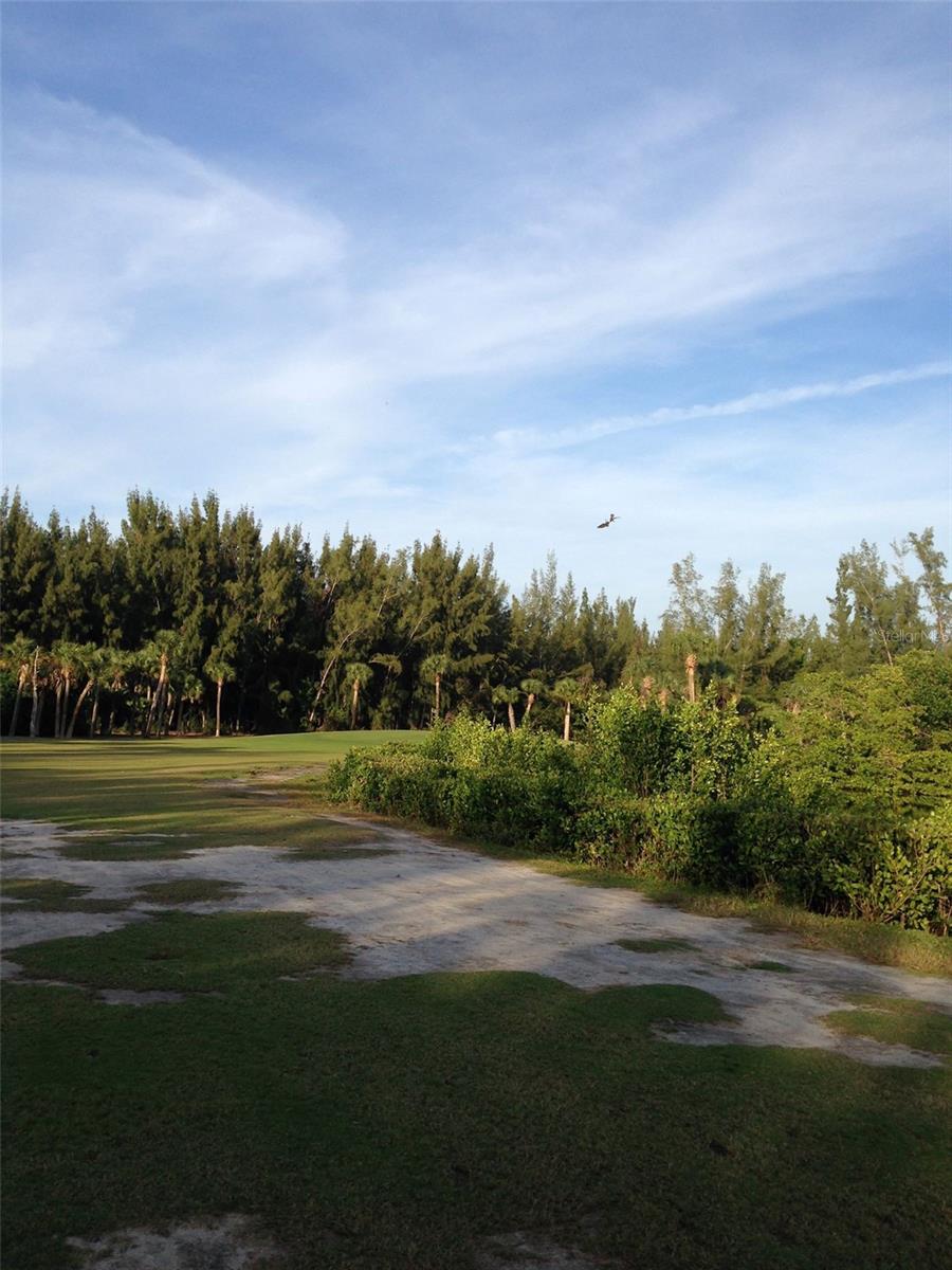 Image 76 of 77 For 14399 Tamarac Drive