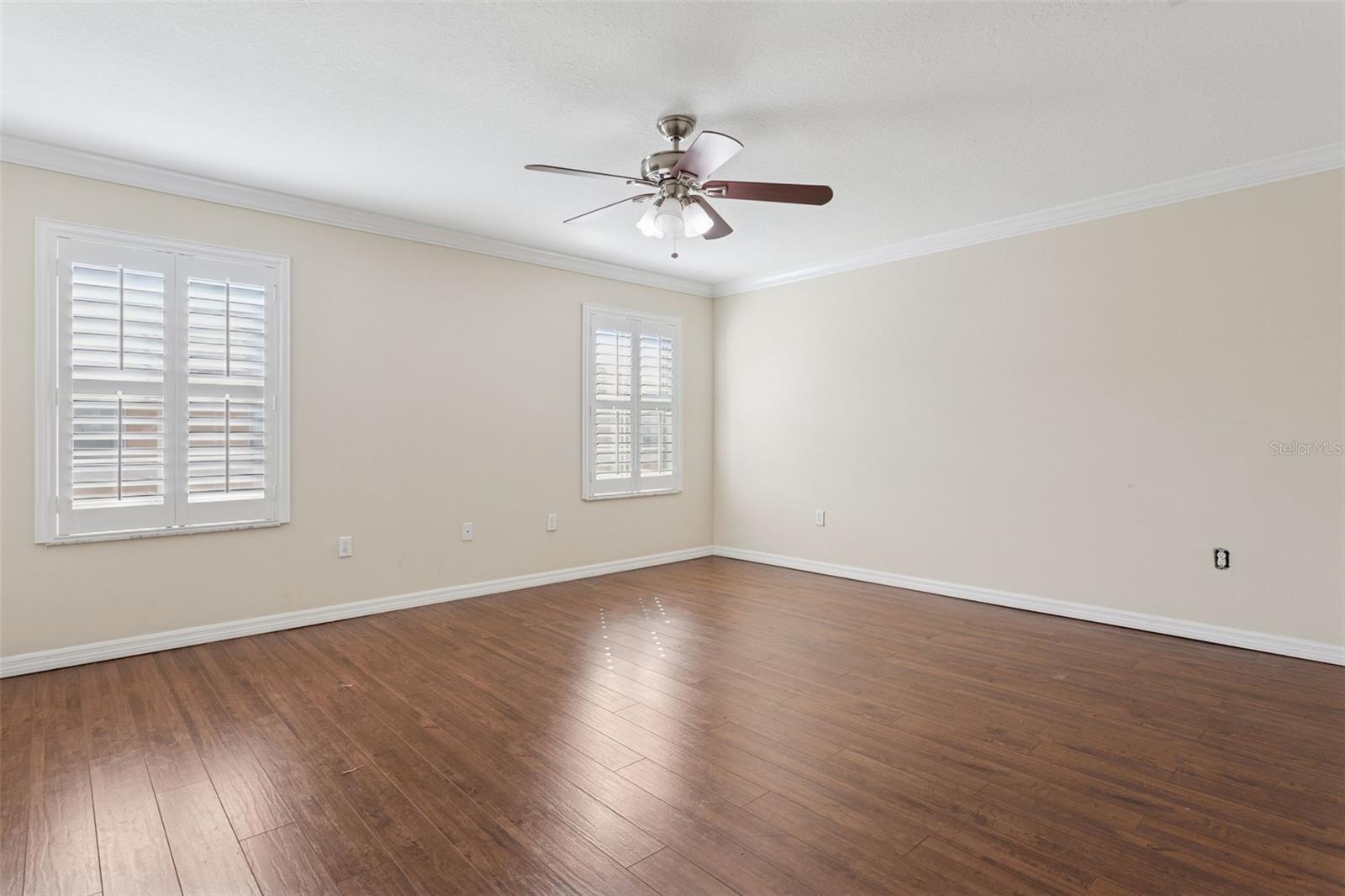 Image 16 of 25 For 9568 Trumpet Vine Loop