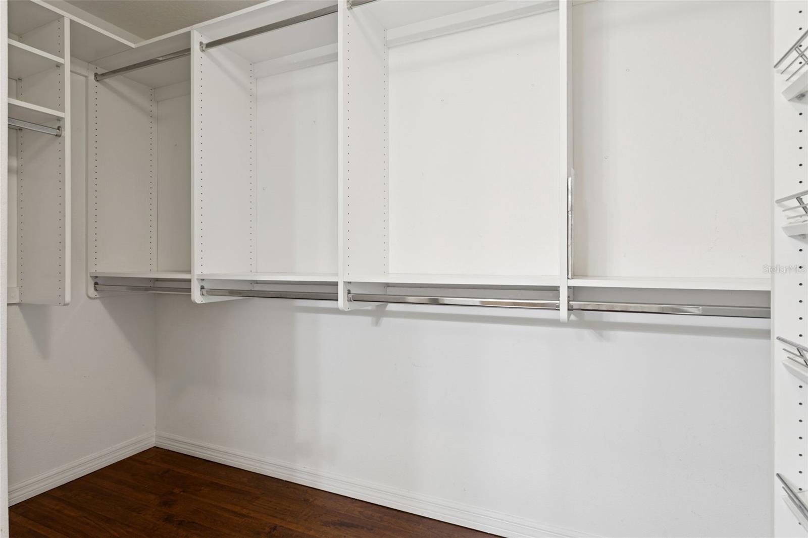 Image 20 of 25 For 9568 Trumpet Vine Loop