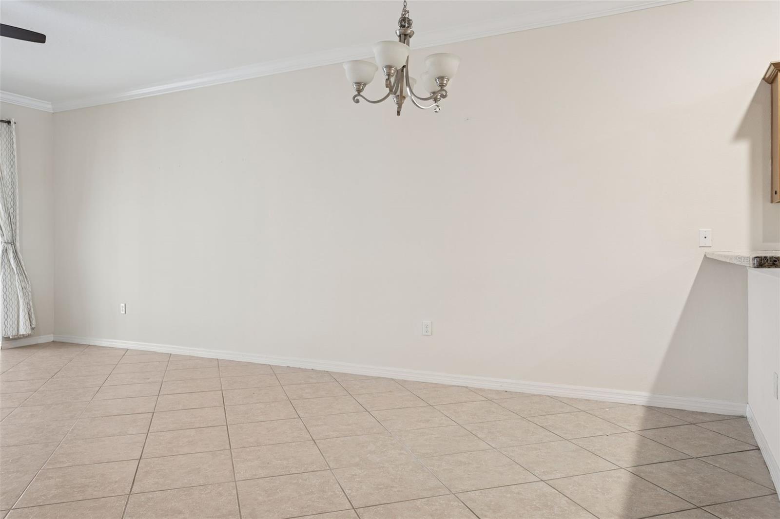 Image 8 of 25 For 9568 Trumpet Vine Loop