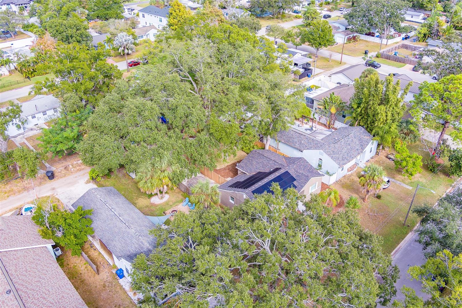 Image 41 of 52 For 225 36th Avenue Ne