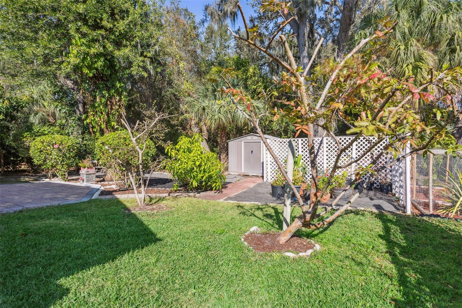 Image 24 of 25 For 10112 Caraway Spice Avenue