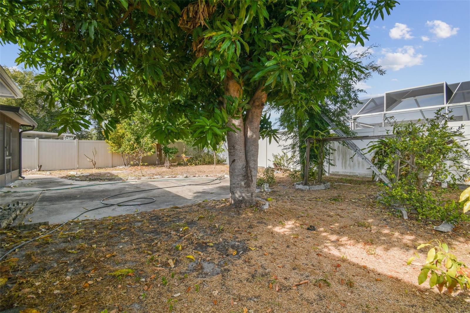 Image 41 of 51 For 2311 Fern Circle