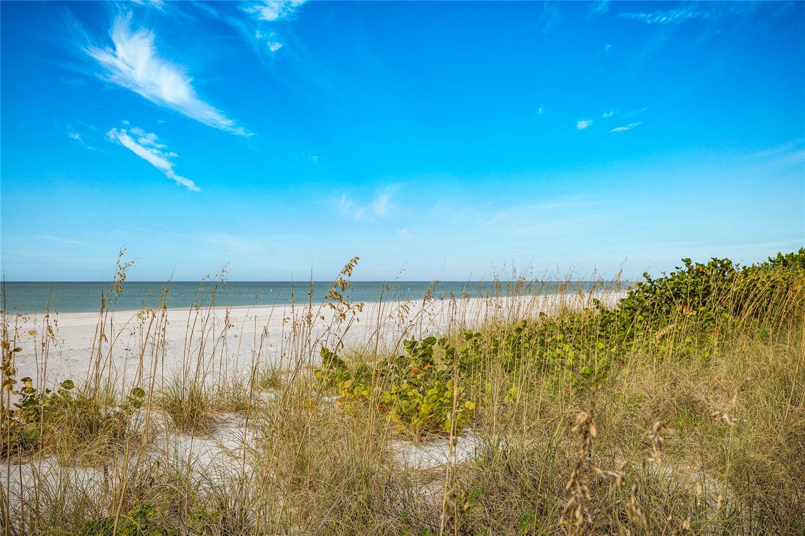 Image 39 of 55 For 222 Sun Vista Court N 67