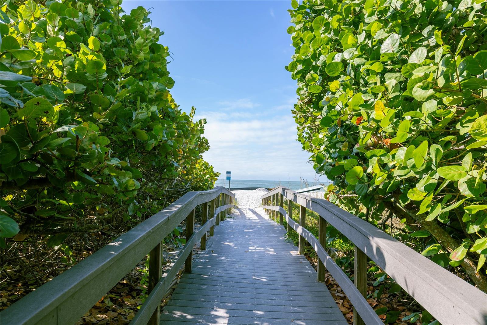 Image 42 of 55 For 222 Sun Vista Court N 67