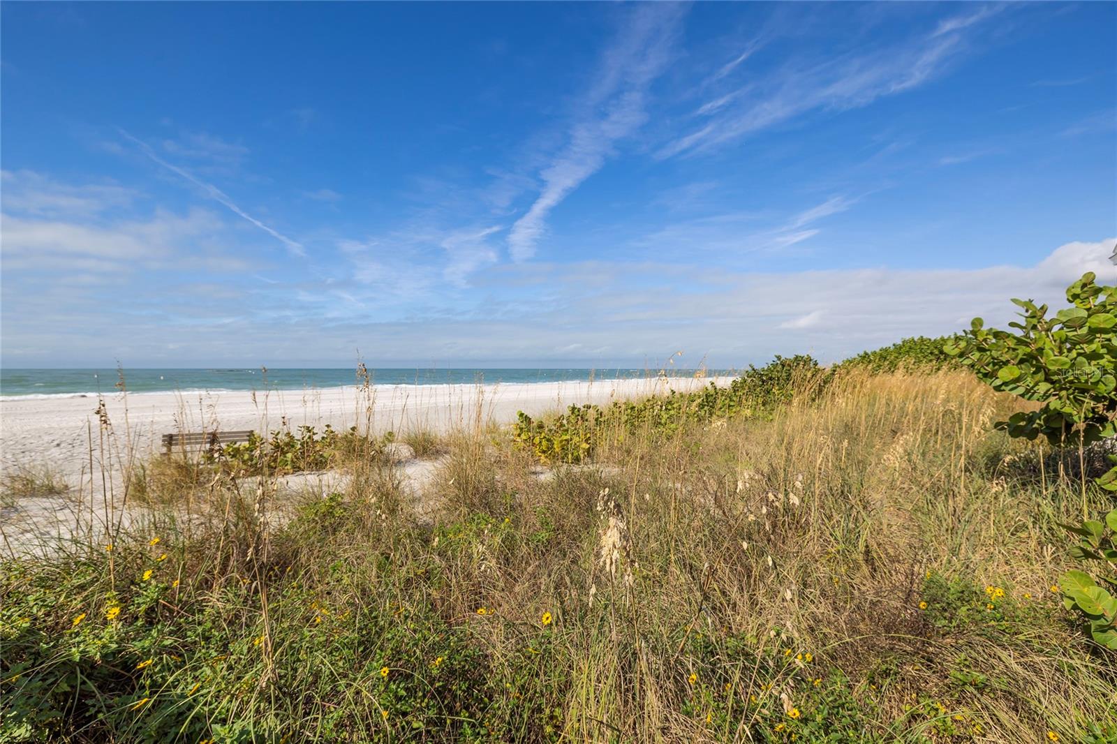 Image 49 of 55 For 222 Sun Vista Court N 67