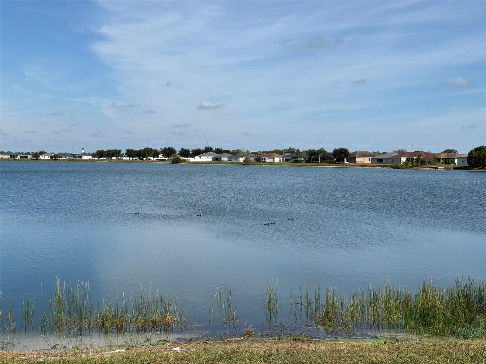 Image 4 of 47 For 5303 White Egret Lane