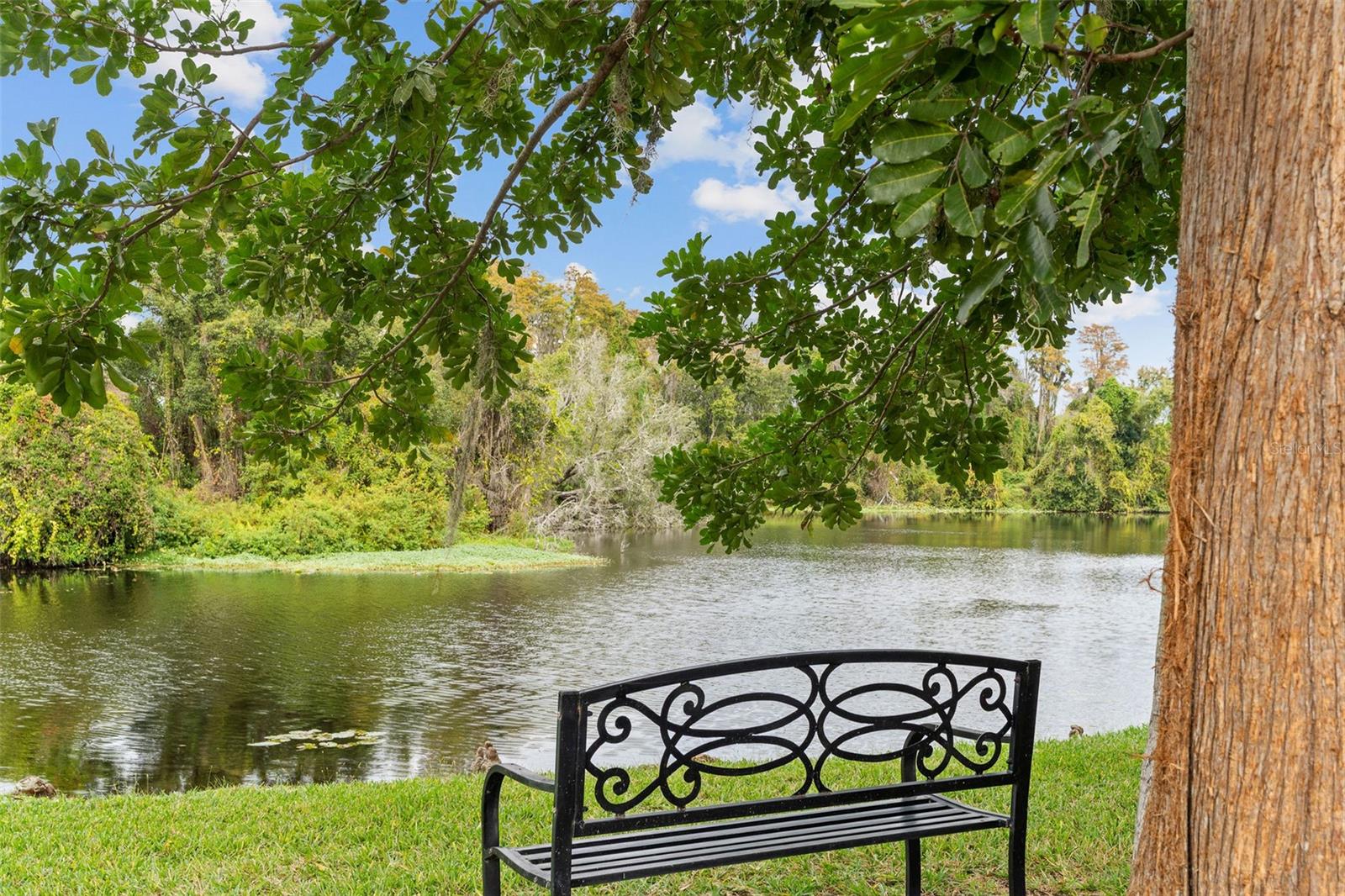 Image 38 of 42 For 7017 Briarhill Court