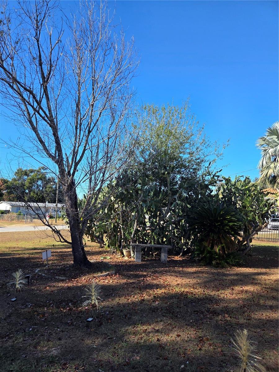 Image 3 of 38 For 505 Murcott Place