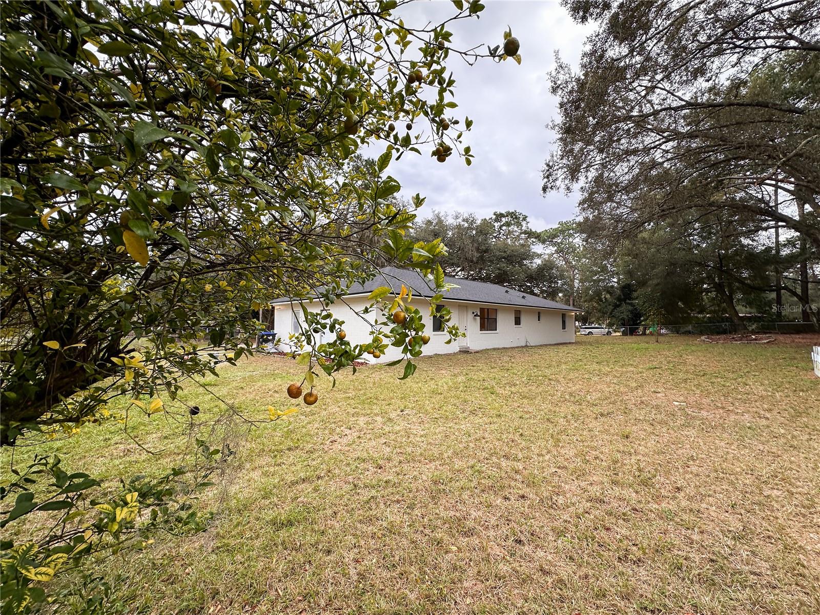 Image 16 of 19 For 154 Lewis Avenue