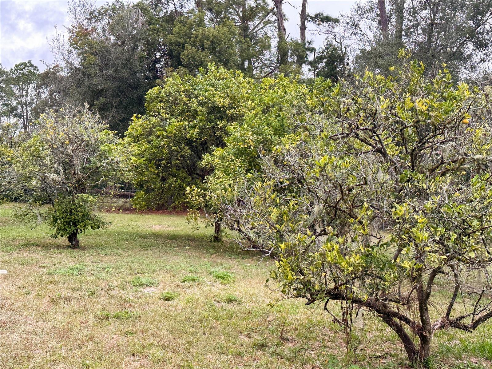 Image 18 of 19 For 154 Lewis Avenue