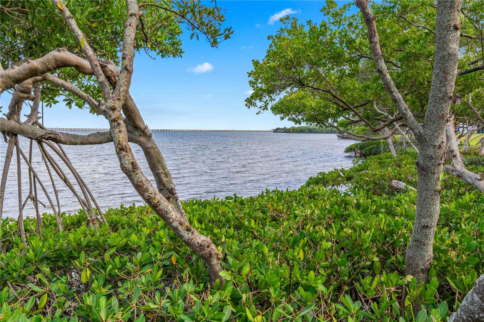 Image 48 of 61 For 2980 Haines Bayshore Road 160