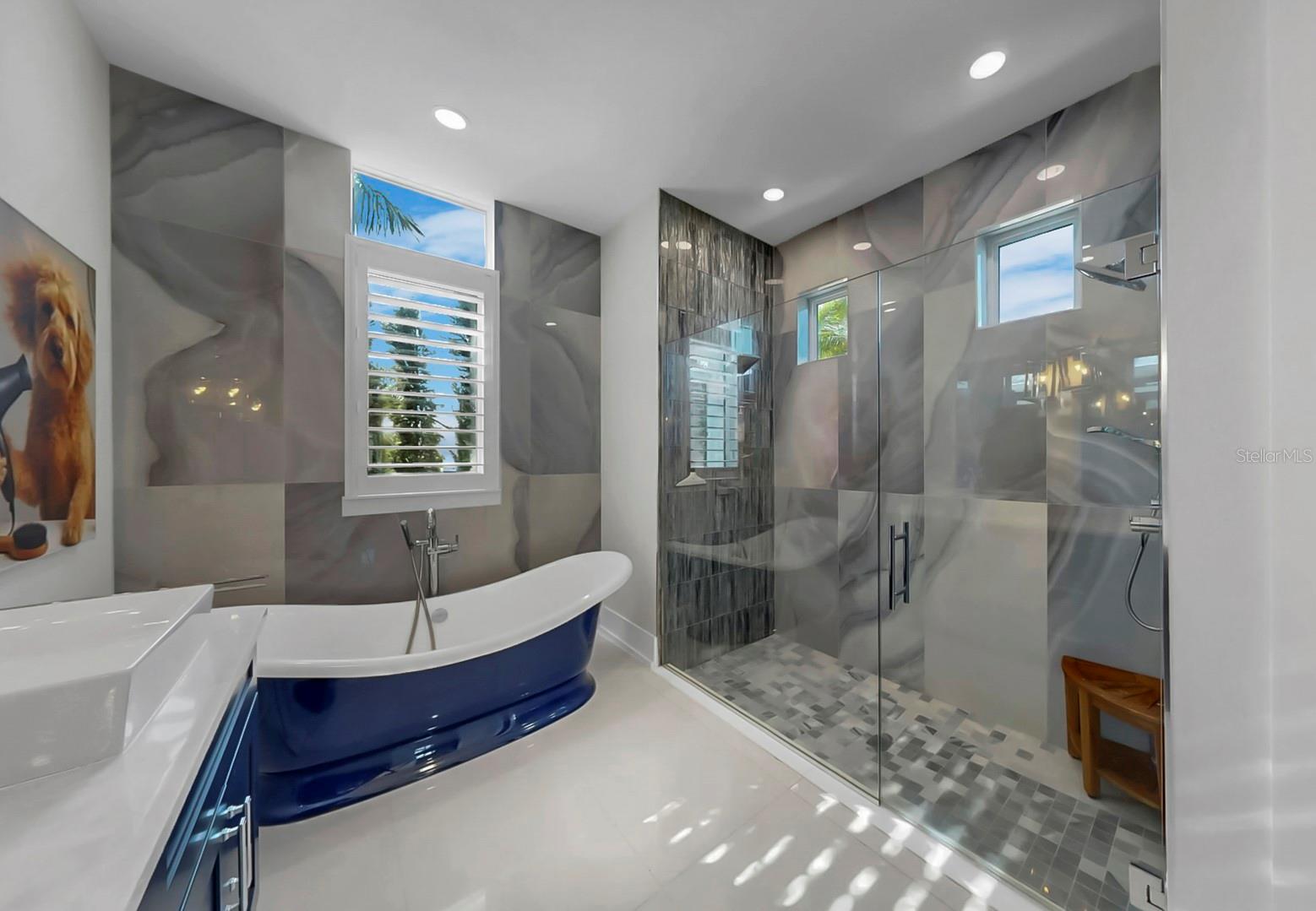 Image 47 of 93 For 703 Pinckney Drive