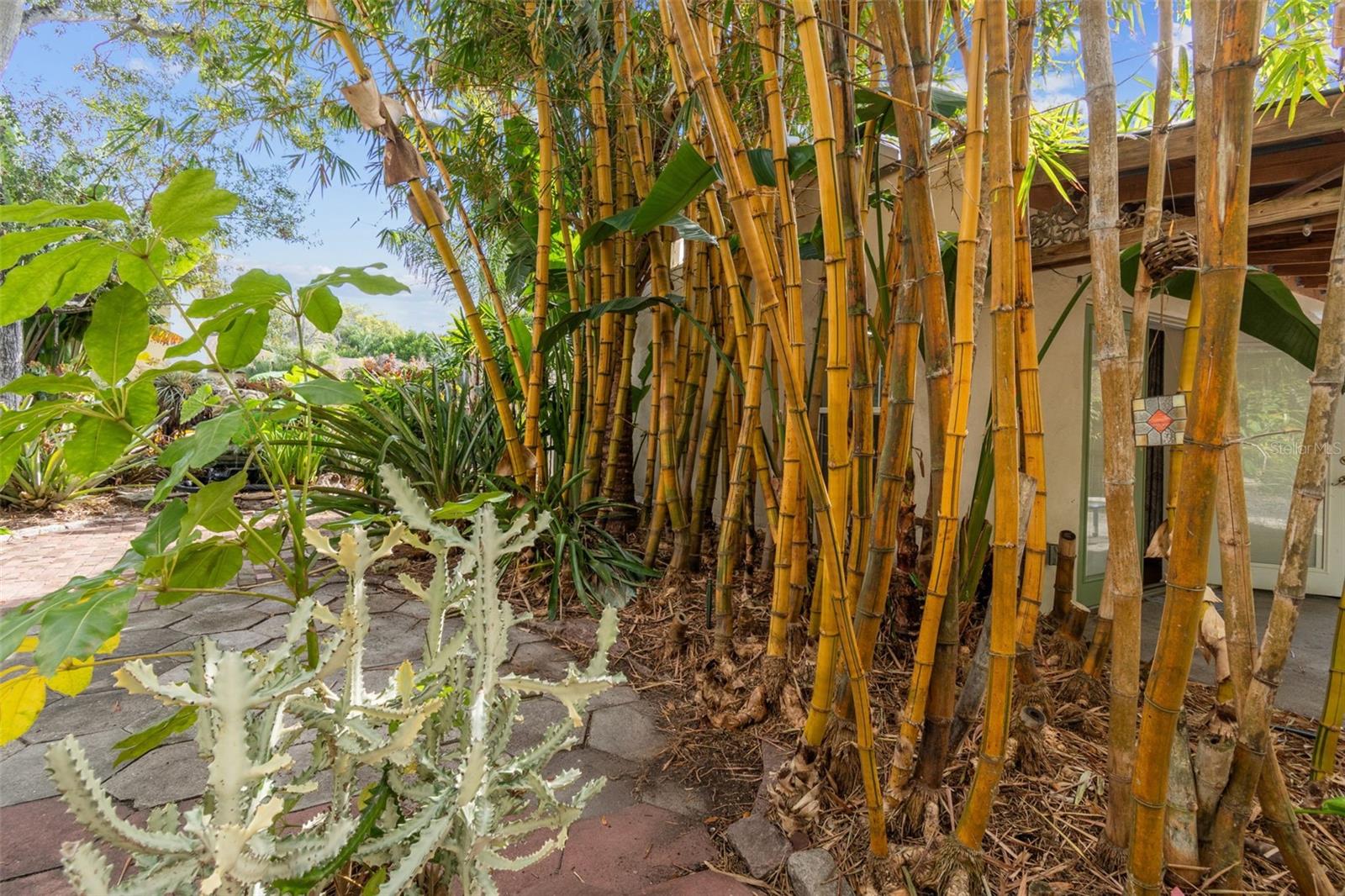 Image 56 of 84 For 4326 3rd Avenue S