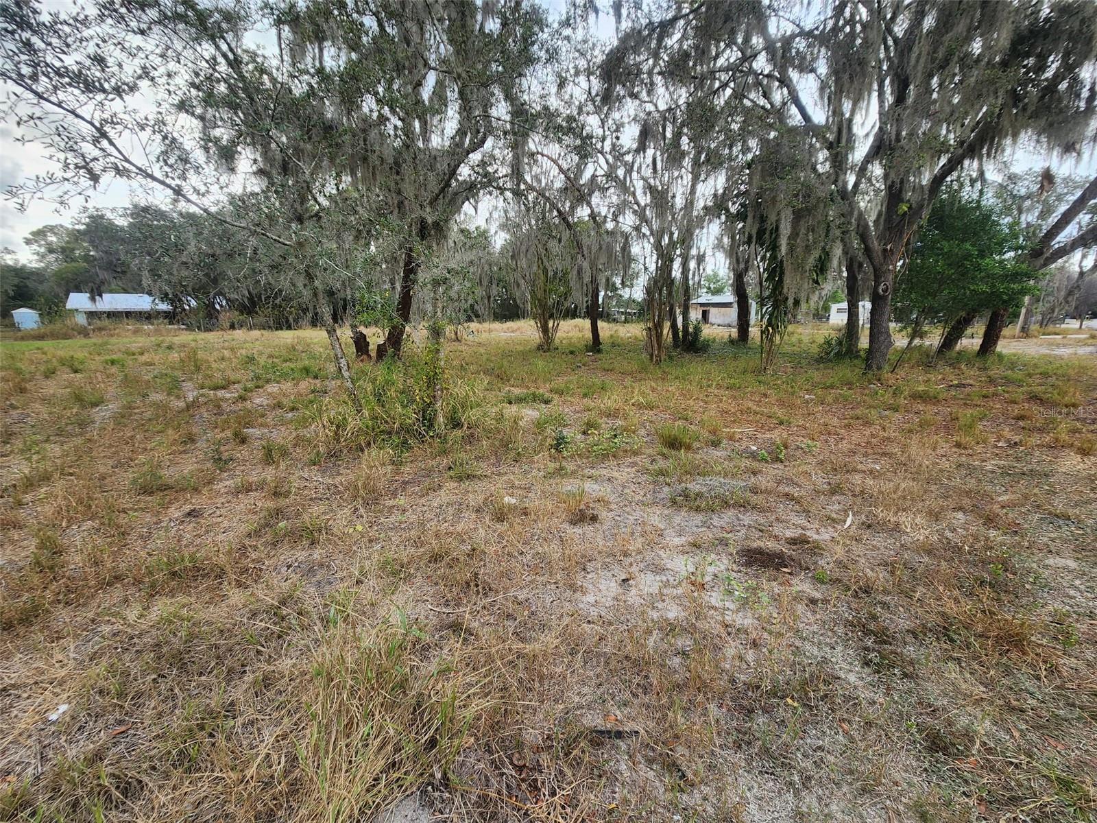 Image 7 of 11 For 1409 Wilkinson Drive