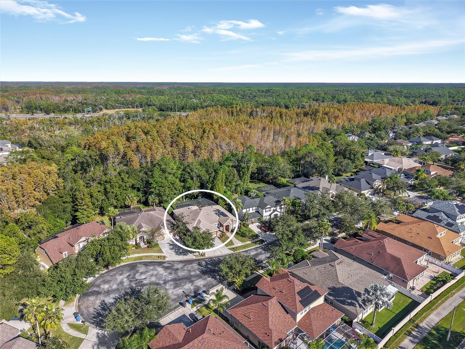 Image 27 of 29 For 16121 Brecon Palms Place