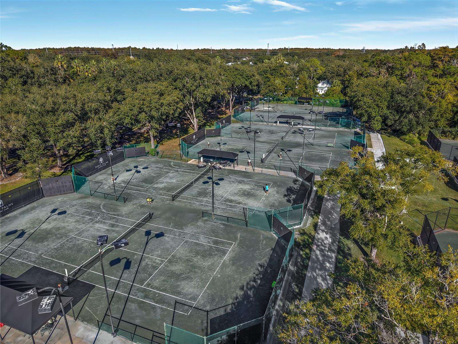 Image 28 of 29 For 16121 Brecon Palms Place