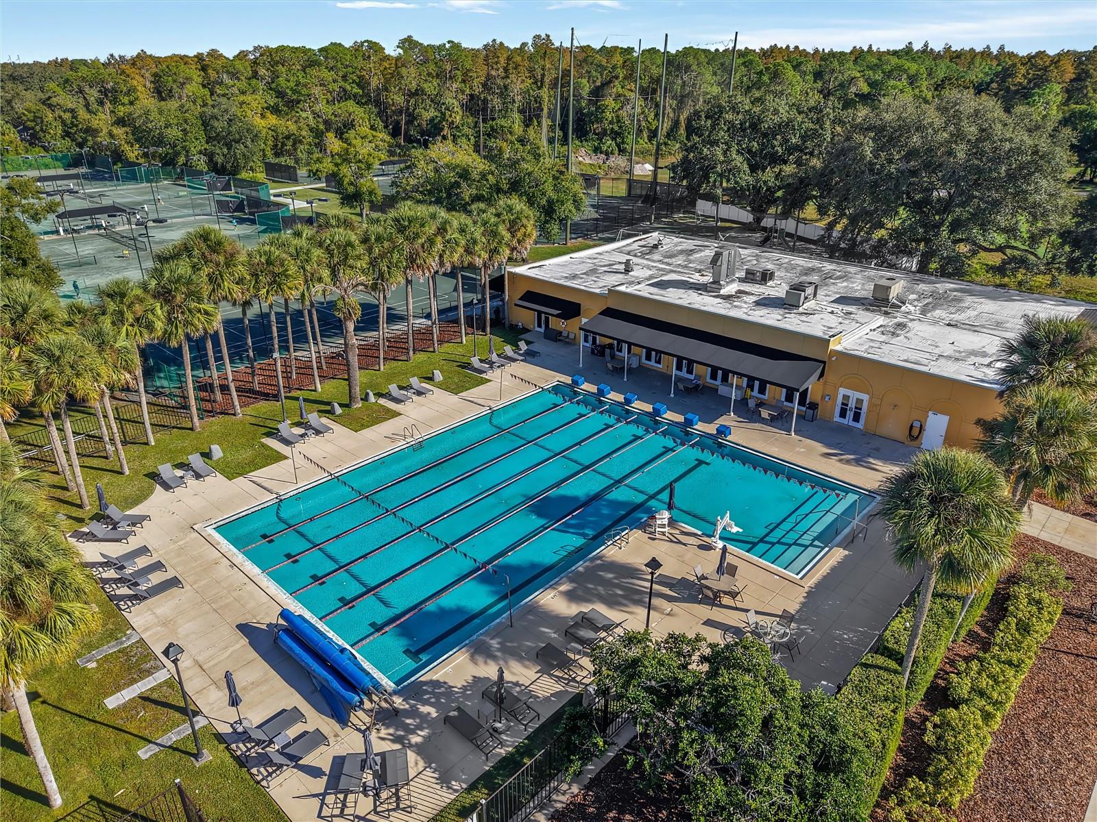 Image 29 of 29 For 16121 Brecon Palms Place