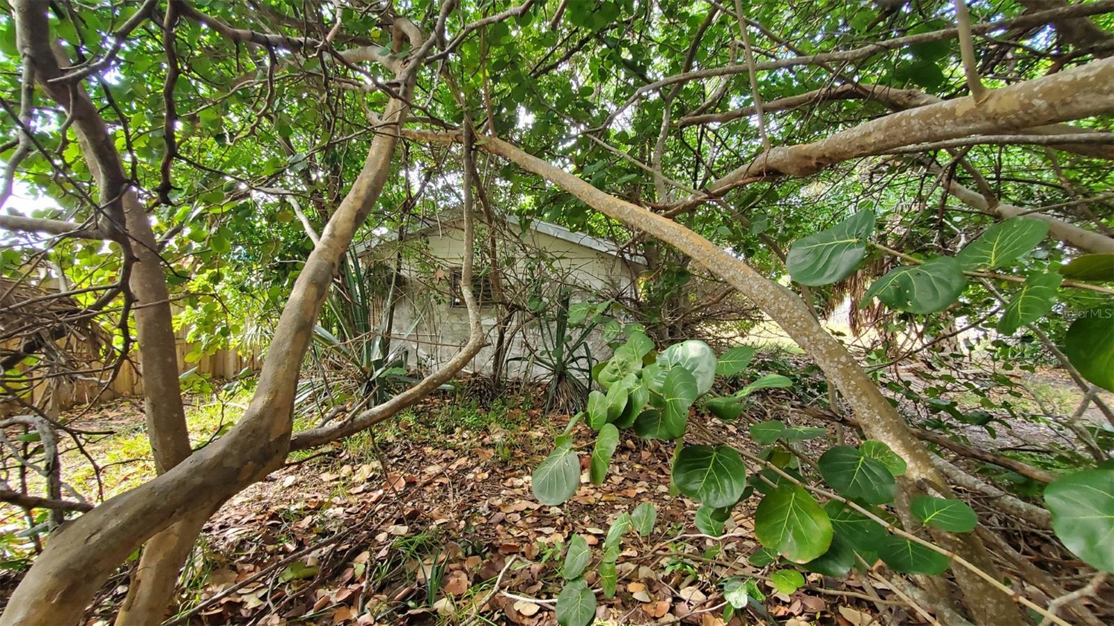 Listing photo id 11 for 209 Canal Street