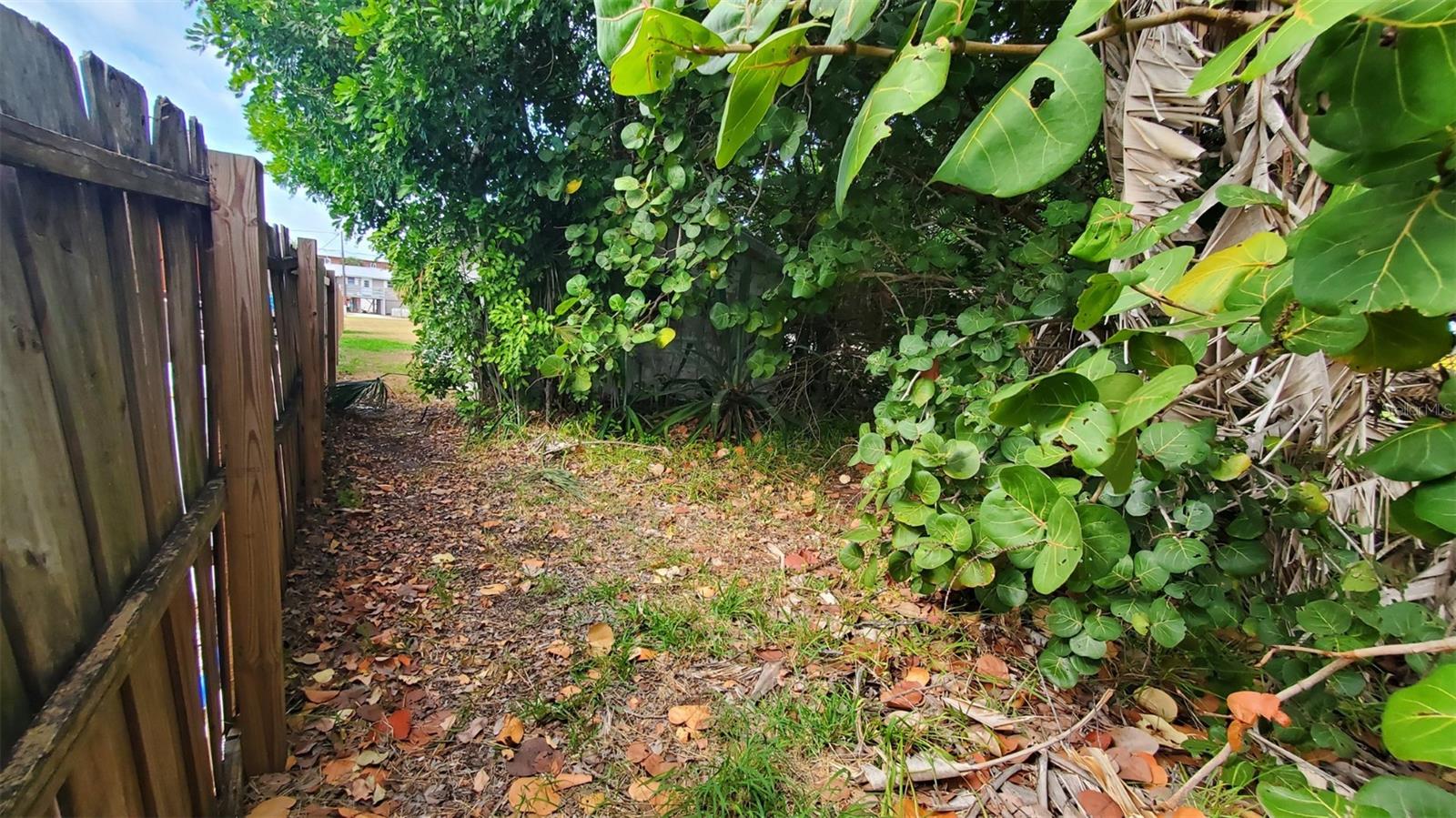 Listing photo id 12 for 209 Canal Street