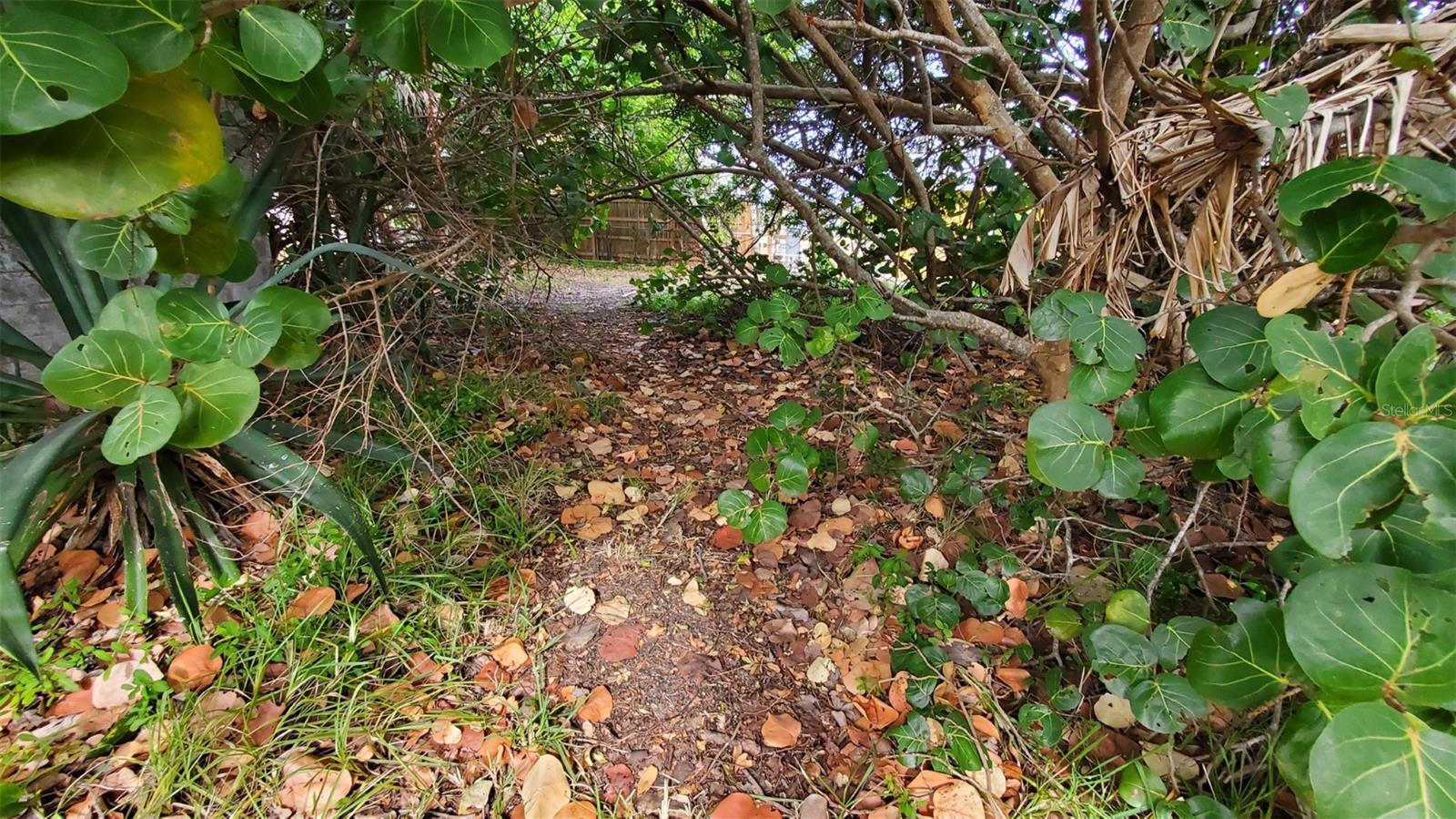 Listing photo id 13 for 209 Canal Street