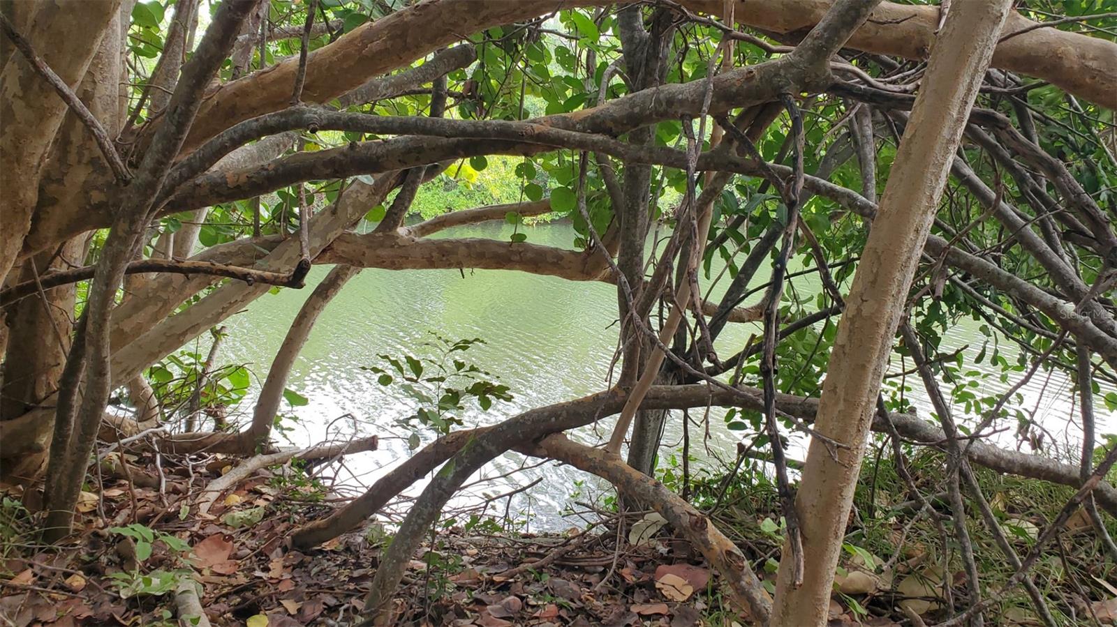 Listing photo id 2 for 209 Canal Street