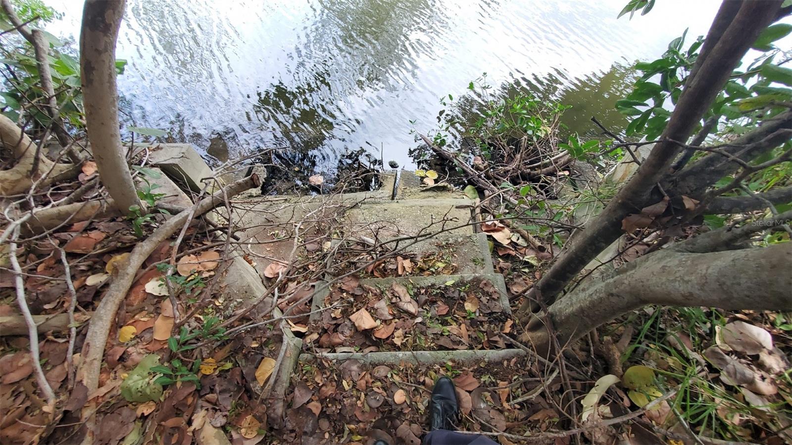 Listing photo id 3 for 209 Canal Street