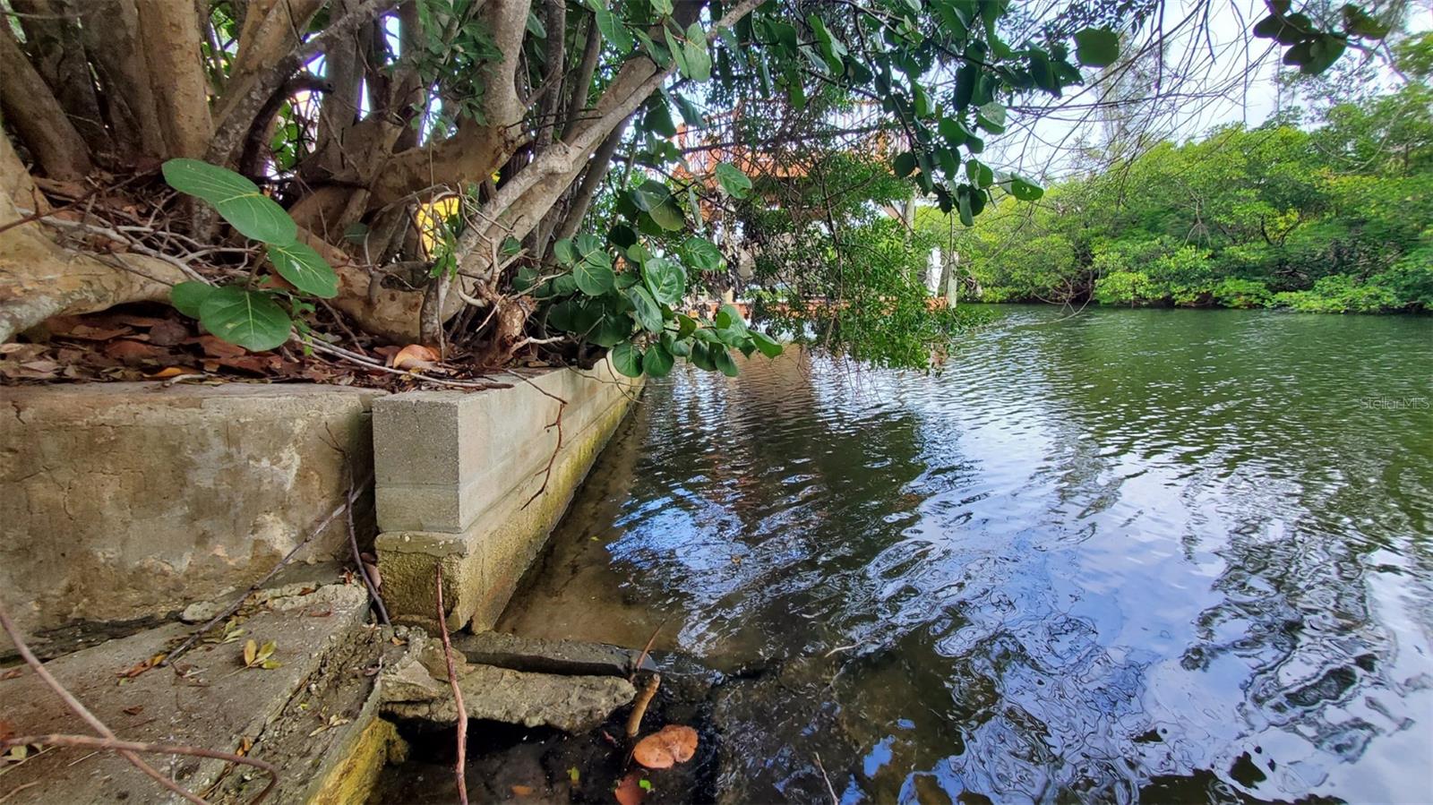 Listing photo id 4 for 209 Canal Street