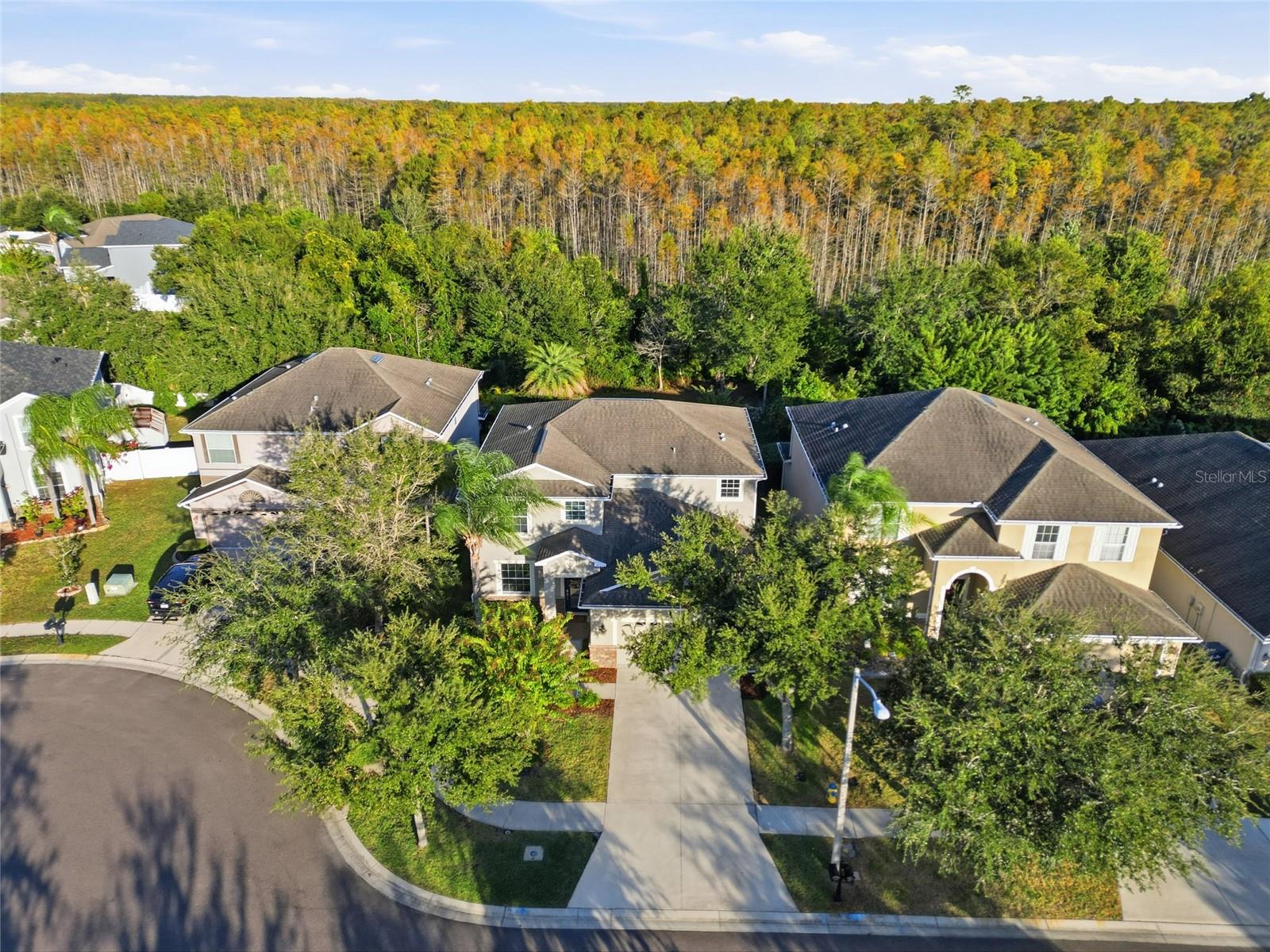 Image 38 of 43 For 3546 Marmalade Court