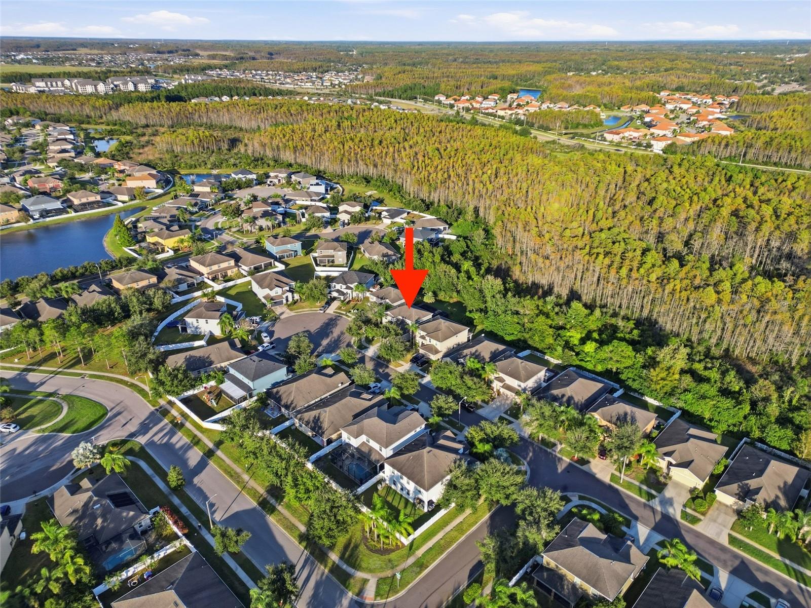 Image 41 of 43 For 3546 Marmalade Court