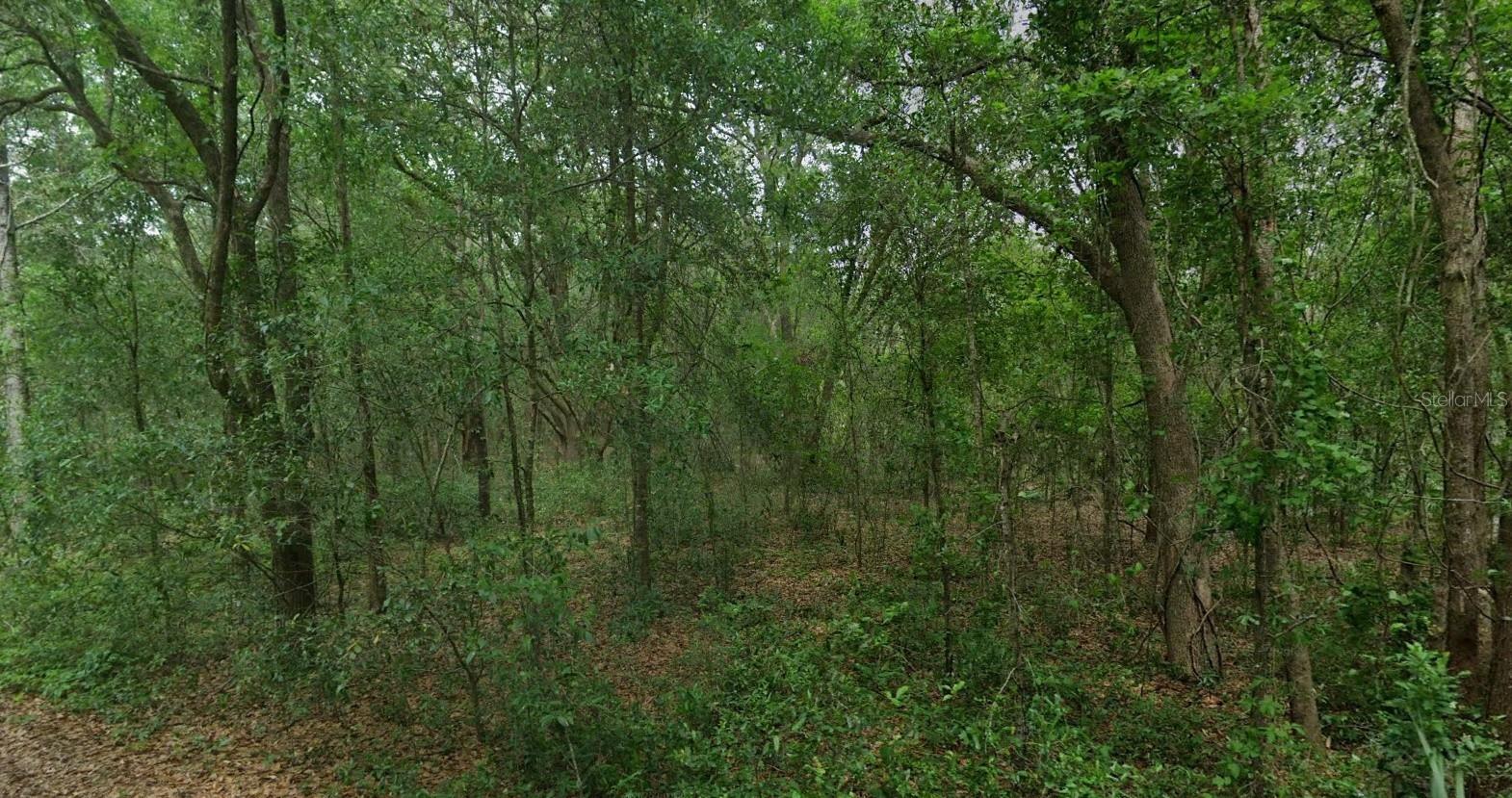 Image 5 of 11 For 8856 Himalayas Point