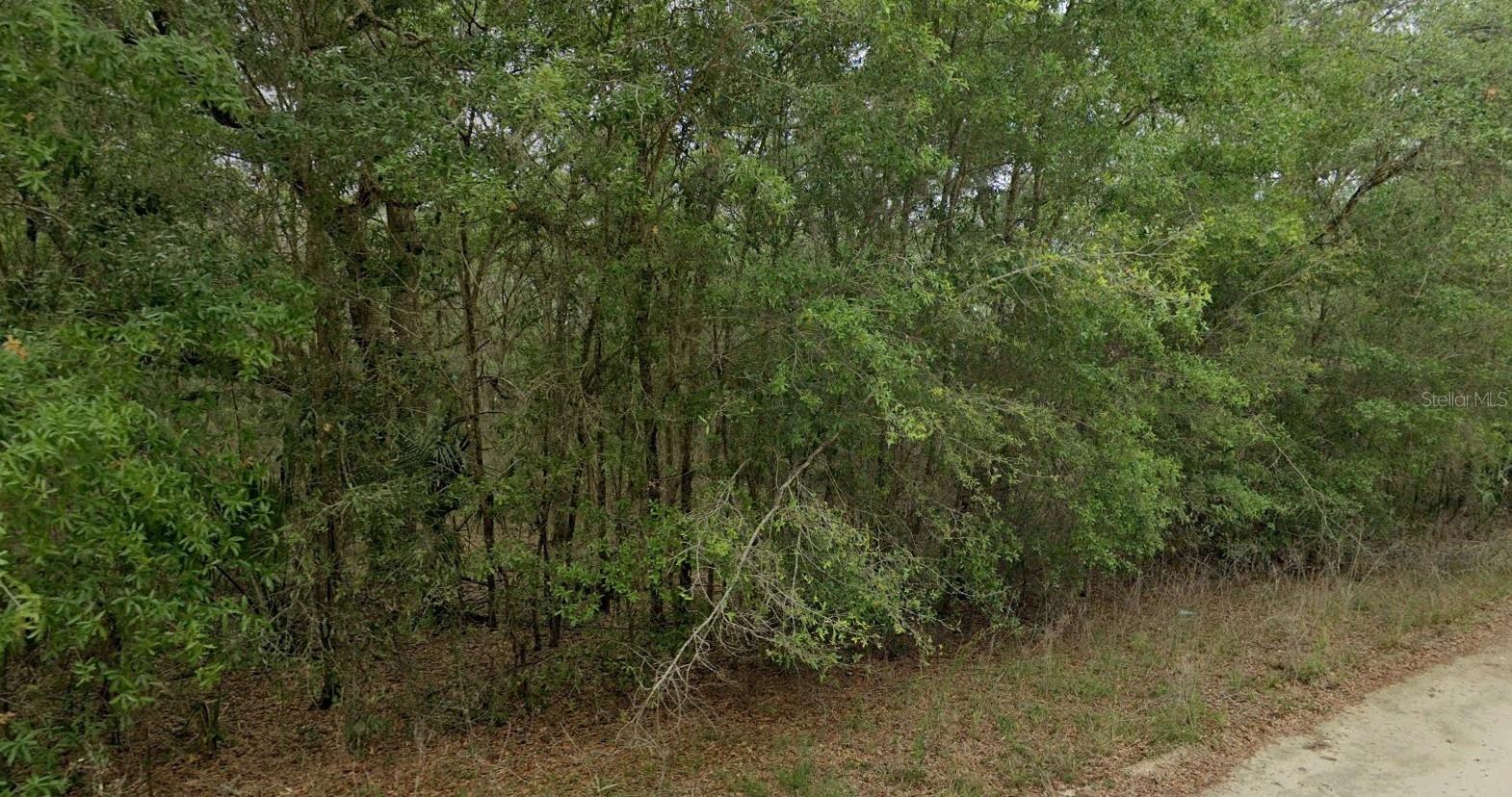 Image 7 of 11 For 8856 Himalayas Point