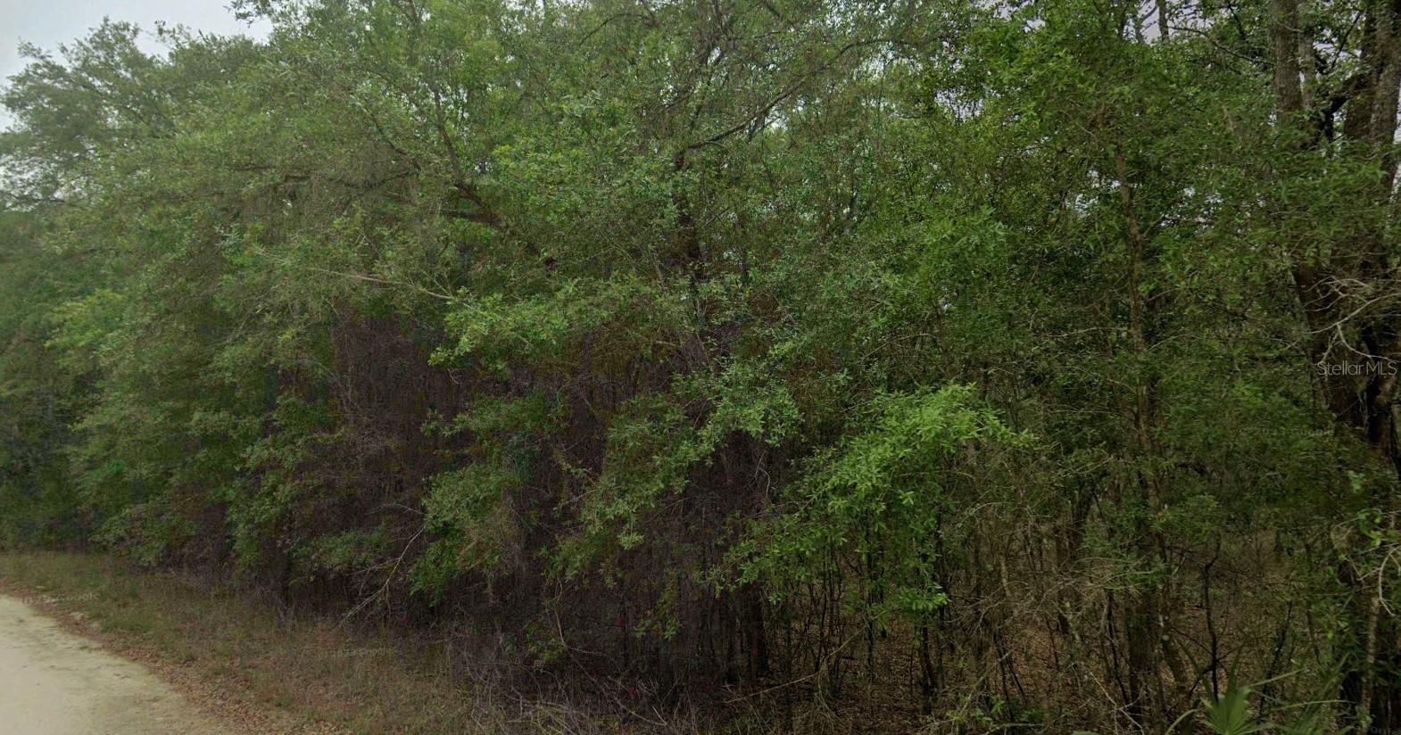 Image 8 of 11 For 8856 Himalayas Point