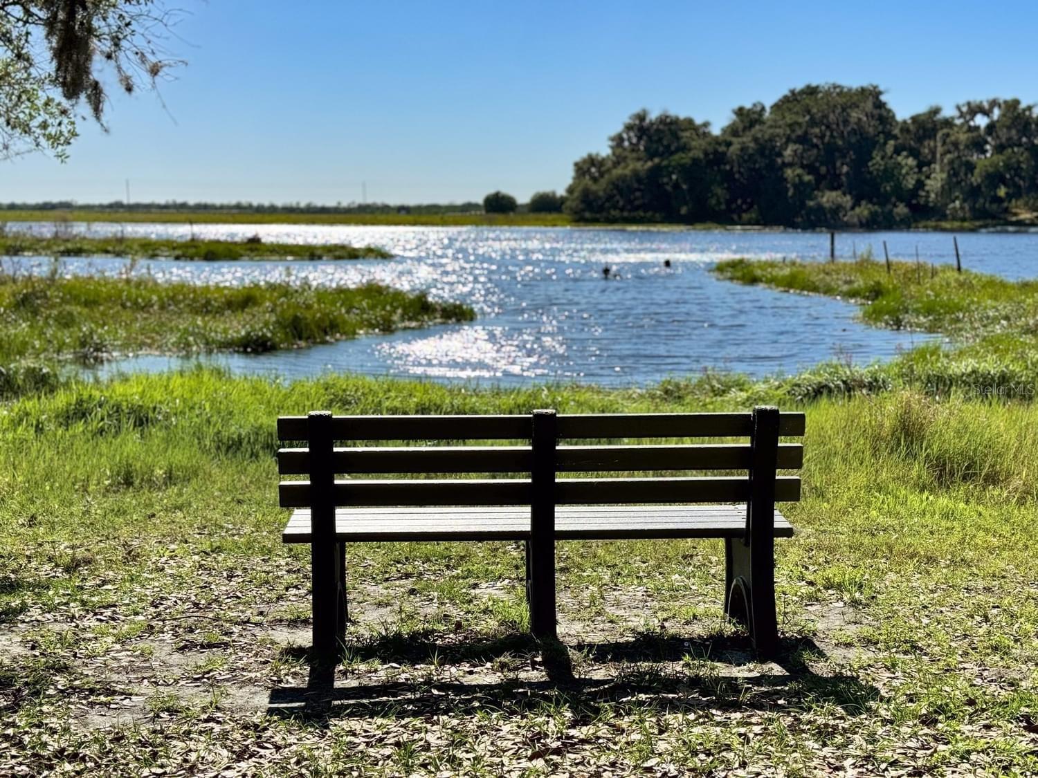 Listing photo id 40 for 10904 Tally Fawn Loop