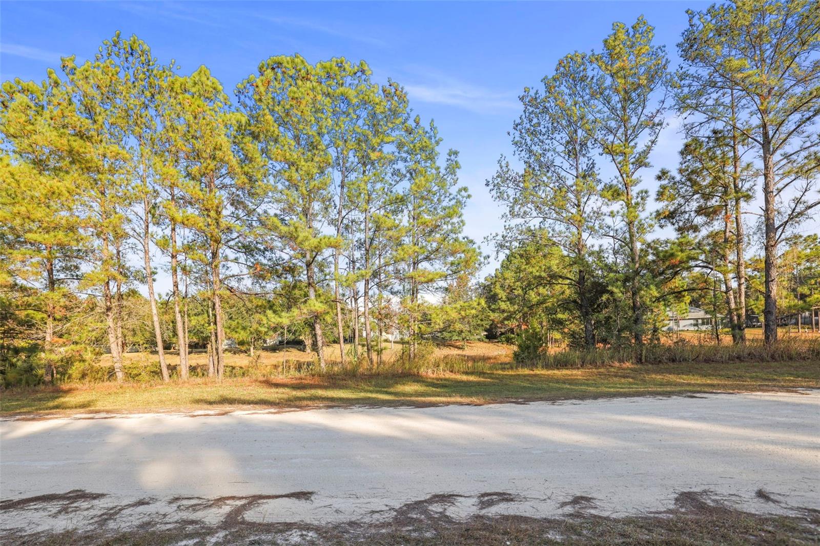 Image 43 of 43 For 8412 Christopher Lane