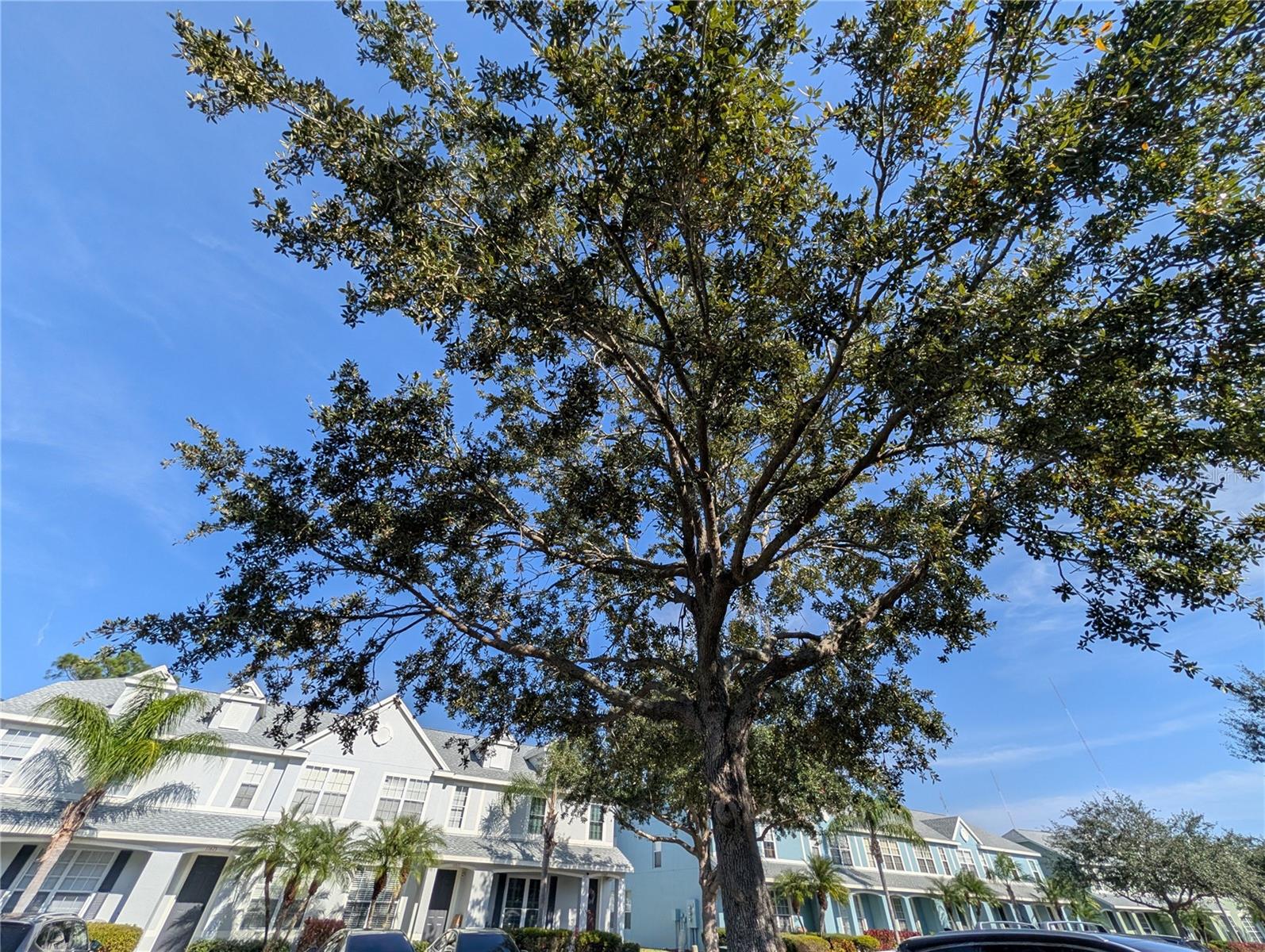 Image 12 of 33 For 11674 Declaration Drive