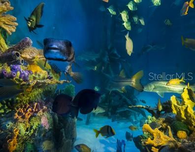 Image 28 of 36 For 5500 Gulf Boulevard 3219