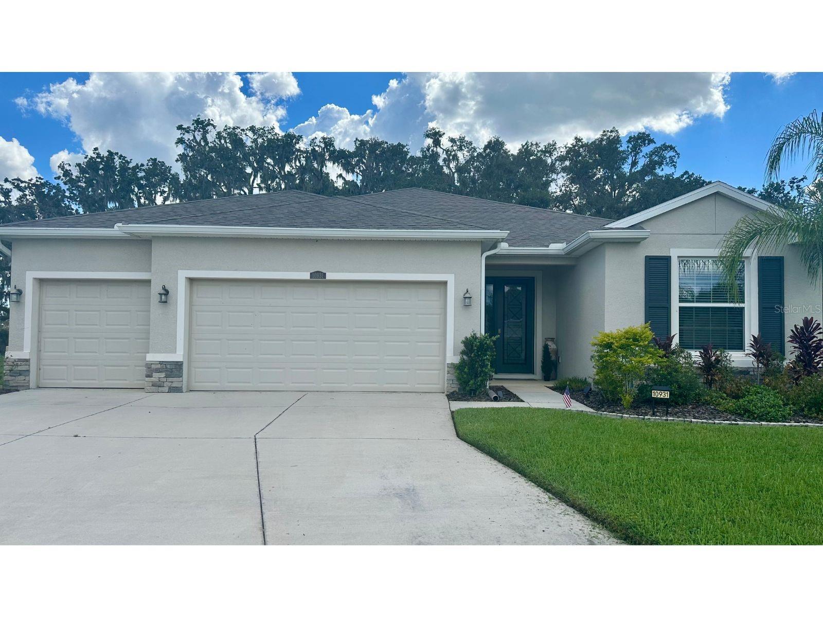 Details for 10931 Fallon Haze Cir, SAN ANTONIO, FL 33576